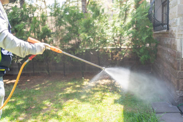 Bird Control in Goodyear, AZ